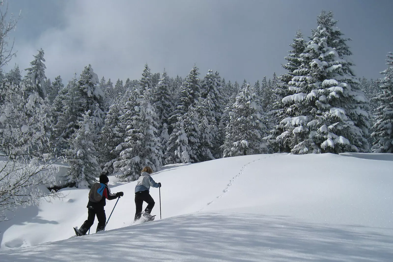 auberge-des-glieres-raquettes