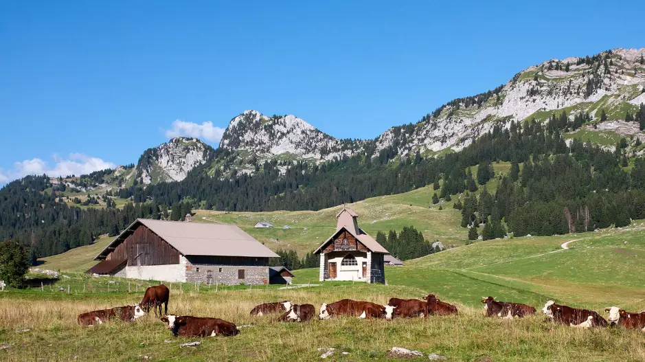 auberge-des-glieres-randonnee