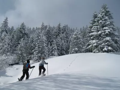 auberge-des-glieres-raquettes