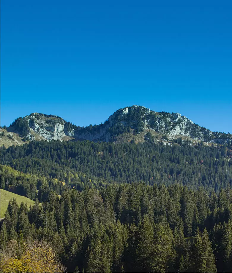 Au plateau des Glières