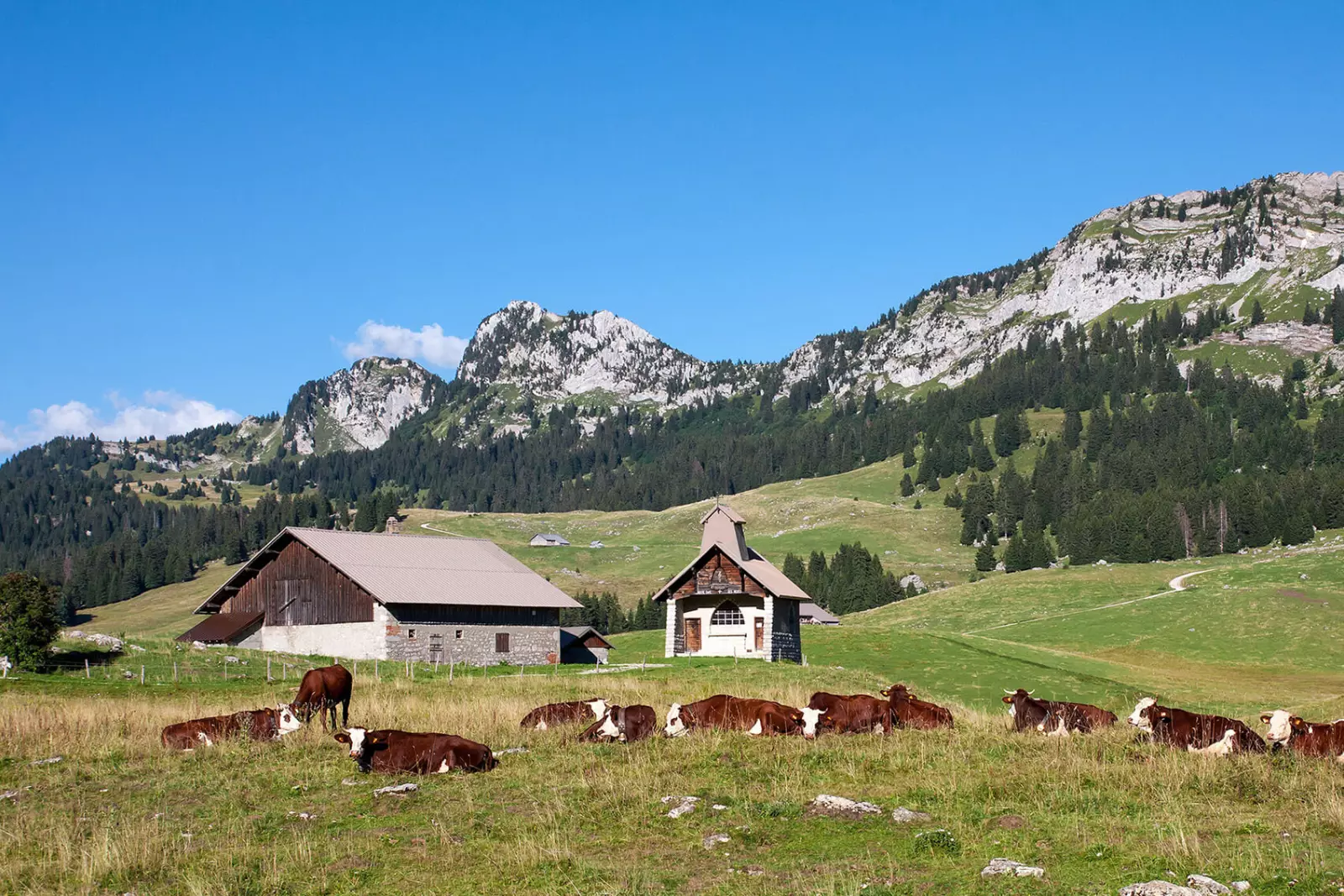 auberge-des-glieres-randonnee